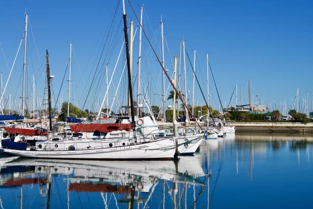 istock Yachts ahoy! Manly, Queensland 1332053865