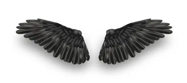 Vector illustration of Vector pair of black realistic wings on white background