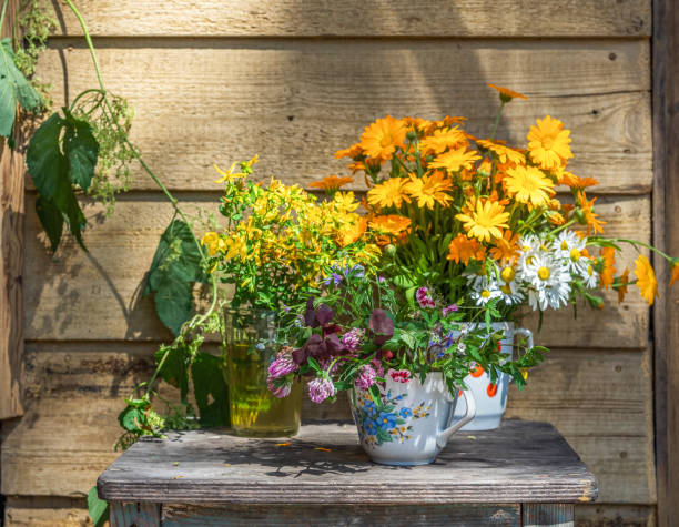 istock A bunch of various summer wildflowers, carnation, clover, wild herbs on a stool 1332059795