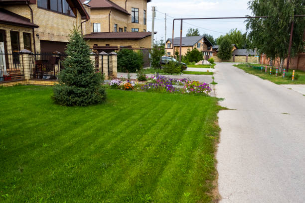 istock Rural settlement street 1332065447