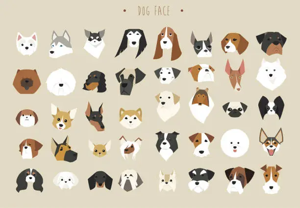 Vector illustration of Collection of dog faces of different breeds.