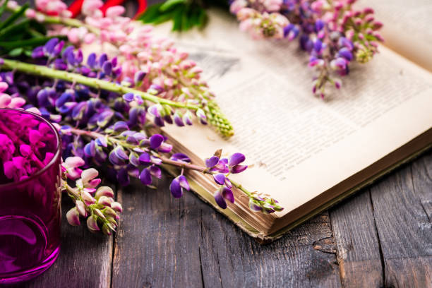 istock Colorful lupine flowers on the rustic background in atmospheric environment. Selective focus. Shallow depth of field. 1332072205