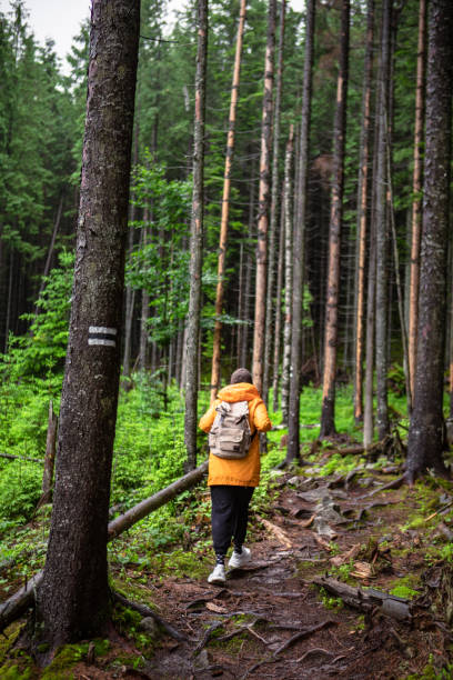 istock woman hiker with backpack in yellow raincoat at footpath trail 1332075948