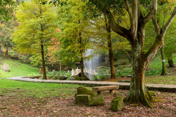 istock A green park in autumn 1332076193