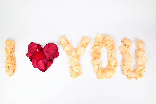 The phrase I love you laid out on a white background from petals of red and white roses. Concept for Valentine's Day.