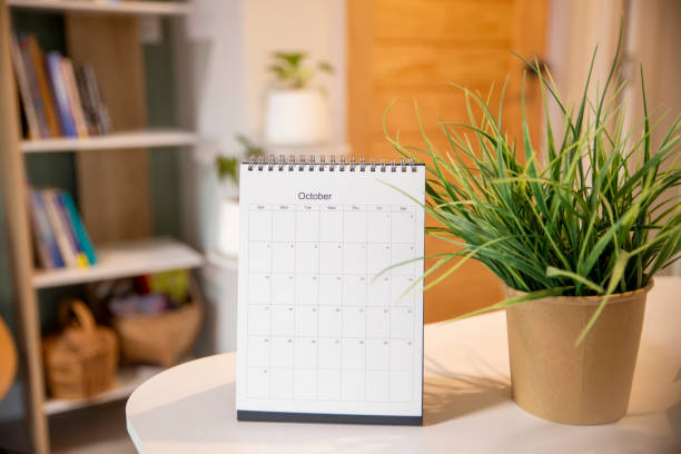 istock Calendar desk place on table. Desktop Calender for Planner to plan agenda, timetable, appointment, organization, management each date, month, and year on wooden office table.Calendar Concept. 1332078886