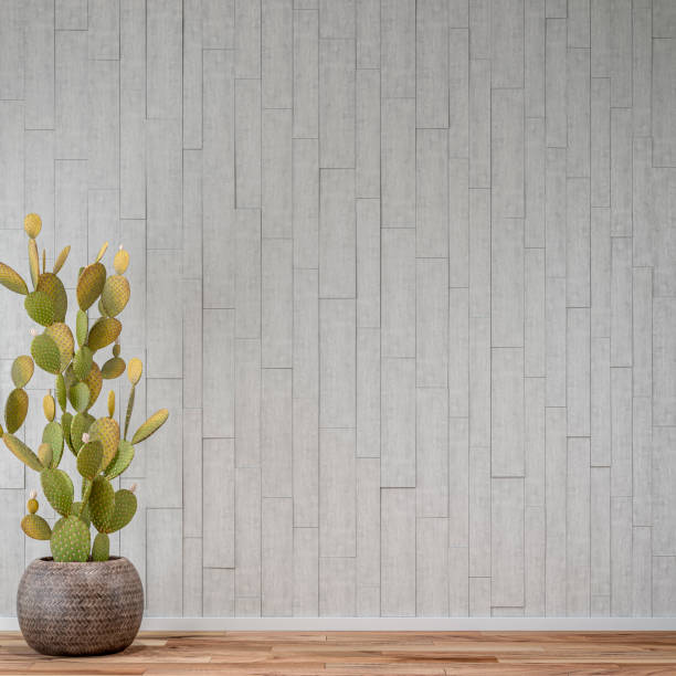 istock Empty unfurnished interior with a large potted plant  - cactus decoration and copy space 1332079174