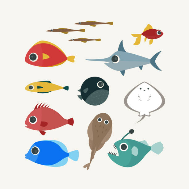 Fish With Big And Cute Eyes Stock Illustration - Download Image Now -  Animal, Bundle, Cartoon - iStock