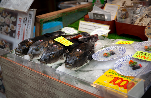 Fresh balloonfish and sashimi for sale at Kuromon market in Osaka, Japan