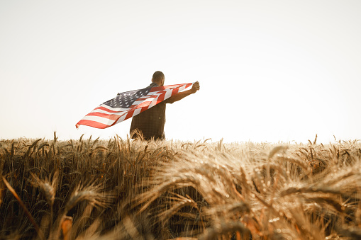 Joven afroamericano sosteniendo la bandera nacional de LOS E.E.U.U. a través del campo del trigo photo