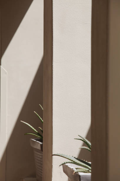 abstract lines of arches with flowers. art and design concept. shadow texture. space for text. Light and shadow on gray wall.