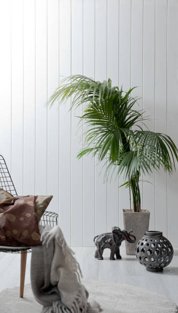 istock home interior living room with textured wall plant 1332084290