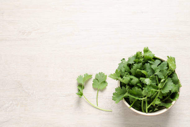 istock Bunch of fresh aromatic cilantro on white wooden table, flat lay. Space for text 1332085545