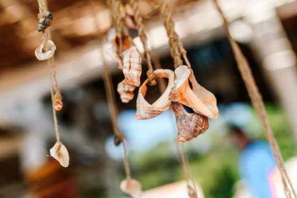 istock Sea decoration made of sea shells 1332090307