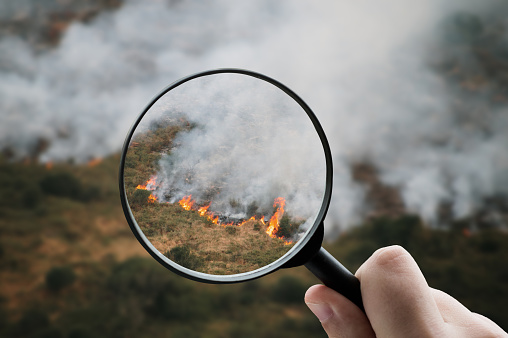 Magnifying glass focusing on a forest fire