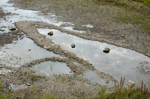 too compact and impermeable soil does not absorb water during rains and floods. a lake was created in the park in the lawn, which gradually infiltrates. damage to the lawn long flooding.  water push - mount pore imagens e fotografias de stock