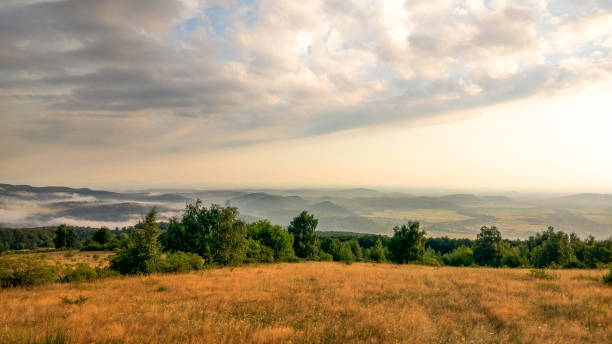 istock Sunset landscape of highlands after summer thunderstorm 1332093764