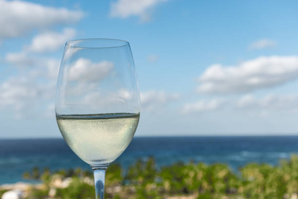 istock Glass of white wine on tropical vacation. 1332094669