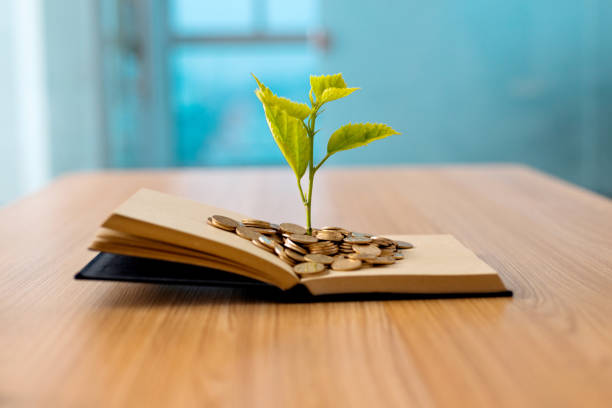 istock Young plant growing out of book with coins. Knowledge concept 1332097062