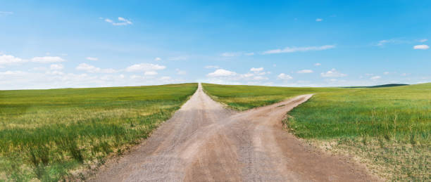 Forked road through green meadow Forked road through green meadow. single lane road footpath dirt road panoramic stock pictures, royalty-free photos & images