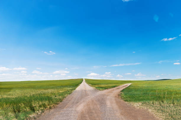 rozwidlona droga przez zieloną łąkę - fork in the road zdjęcia i obrazy z banku zdjęć