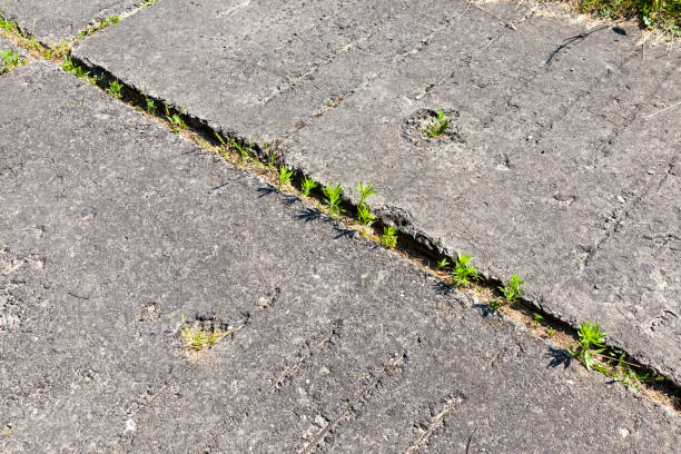 istock green grass sprouted through reinforced concrete slabs 1332097626