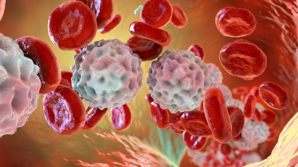 リンパ球症、豊富な白血球を示すイラスト - blood cell blood red blood cell microscope ストックフォトと画像