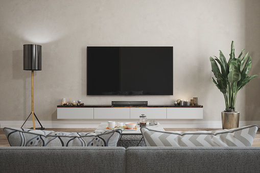 Moderno interior de la sala de estar con Smart Tv, sofá, lámpara de pie y planta en maceta photo