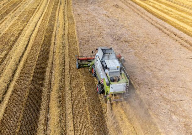 istock Combine harvester harvesting a wheat field