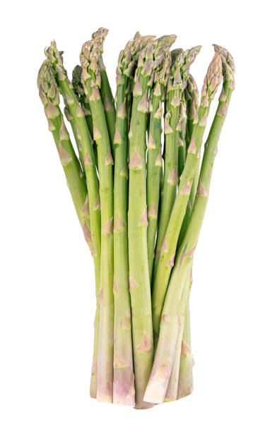 istock Green asparagus isolated on white background 1332101575
