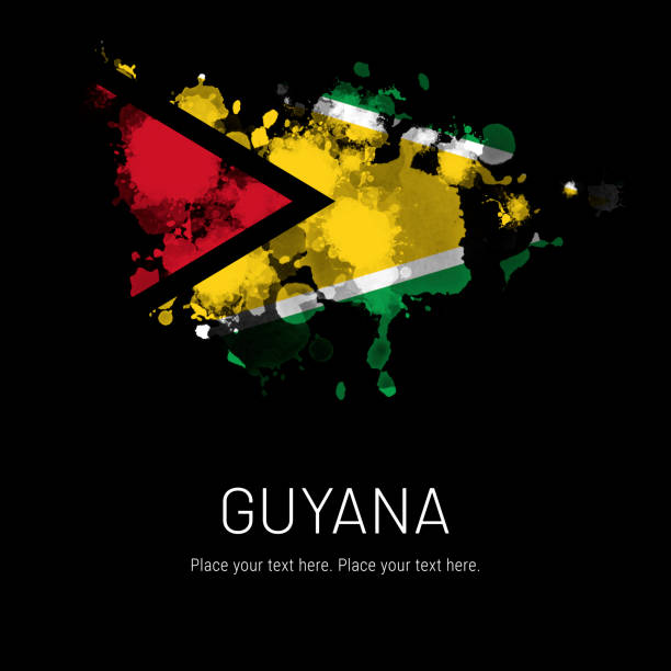 istock Flag of Guyana ink splat on black background 1332102953