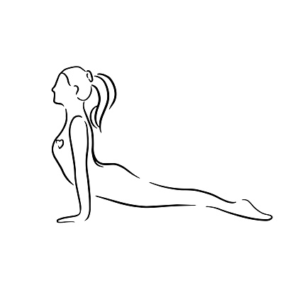 Stylized human in yoga dog face up pose, urdhva mukha svanasana . Vector illustration of lineart style. Yoga pose flat line icon, simple sign of woman in easy pose Handdrawn illustration.