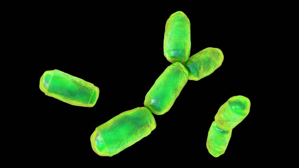 micro-organismes methanobrevibacter smithii, illustration 3d, l’archéon prédominant dans le microbiote de l’intestin humain - sem photos et images de collection