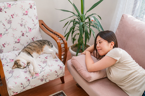 A young woman is happily looking at her sleeping cat on the sofa in the living room at home.