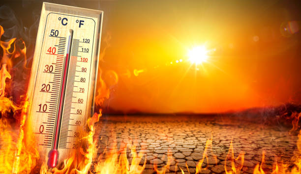 Heatwave With Warm Thermometer And Fire - Global Warming And Extreme Climate - Environment Disaster Heat Temperature - Thermometer, Warm Sun And Dry Soil - Extreme Climate - contain 3d Rendering heat temperature stock pictures, royalty-free photos & images