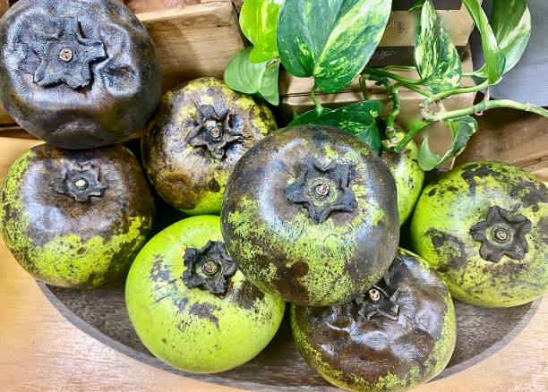 Black Sapote Pudding Fruit stock photo