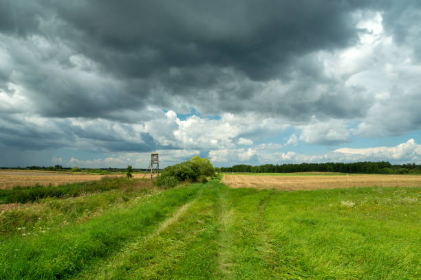 istock Dirt road through the fields and cloudy sky 1332115993