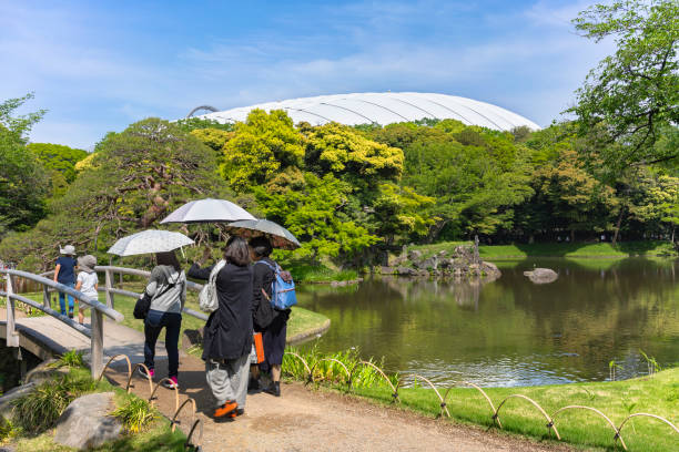 turistas japoneses sosteniendo sombrillas caminando en el parque koishikawa korakuen. - confucian fotografías e imágenes de stock