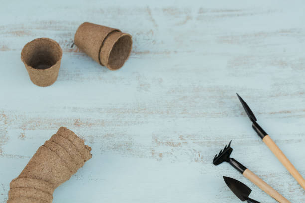 istock Garden tools and craft brown pots on wooden background 1332118454