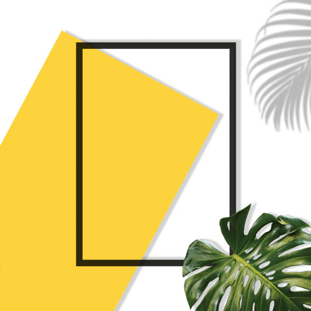 istock summer elements Palm leaf shadow and tropical monstera yellow blank paper Frame on a pastel gray background Summer concept, flat lay, top view, copy space 1332120672