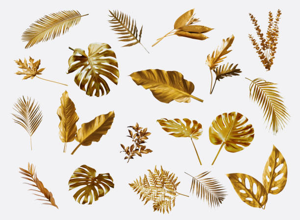 istock Gold monstera leaves plant frame isolated on a white background. top view. copy space. abstract. 1332120679