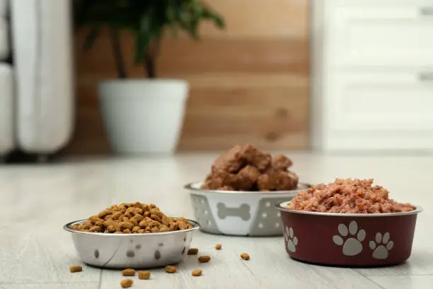 Different pet food in feeding bowls on floor indoors, space for text