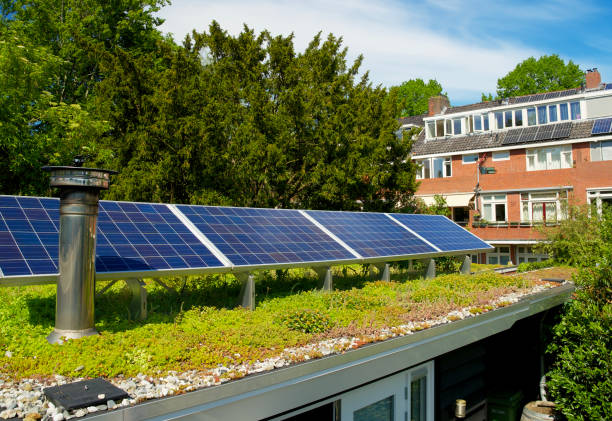 istock Solar panels on a green rooftop with blooming sedum for climate adaptation 1332125304