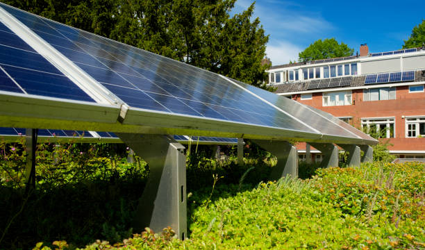 istock Solar panels on a green rooftop with blooming sedum for climate adaptation 1332125332