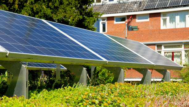 istock Solar panels on a green rooftop with blooming sedum for climate adaptation 1332125348
