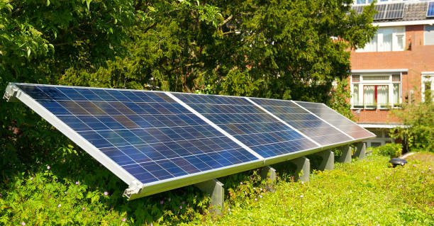 istock Solar panels on a green rooftop with blooming sedum for climate adaptation 1332125349