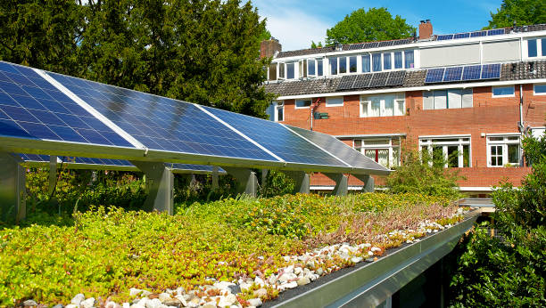 istock Solar panels on a green rooftop with blooming sedum for climate adaptation 1332125351