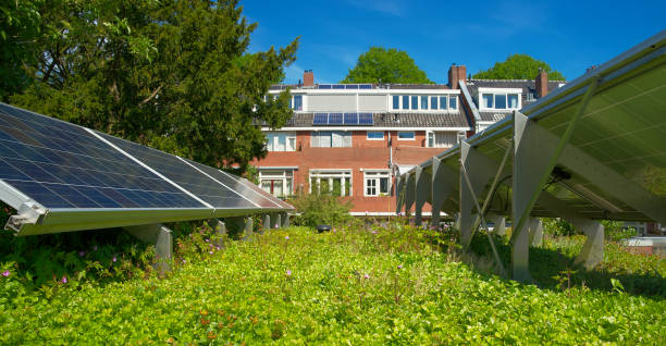 istock Solar panels on a green rooftop with blooming sedum for climate adaptation 1332125408