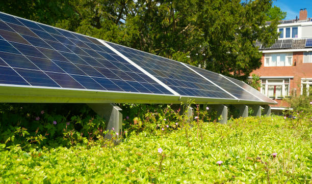 istock Solar panels on a green rooftop with blooming sedum for climate adaptation 1332125409