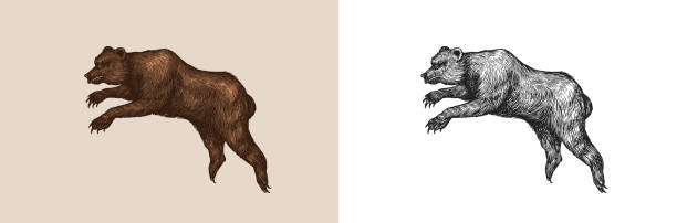 Cave bear. Extinct brown animal. Vintage retro vector illustration. Doodle style. Hand drawn engraved sketch. Vector illustration